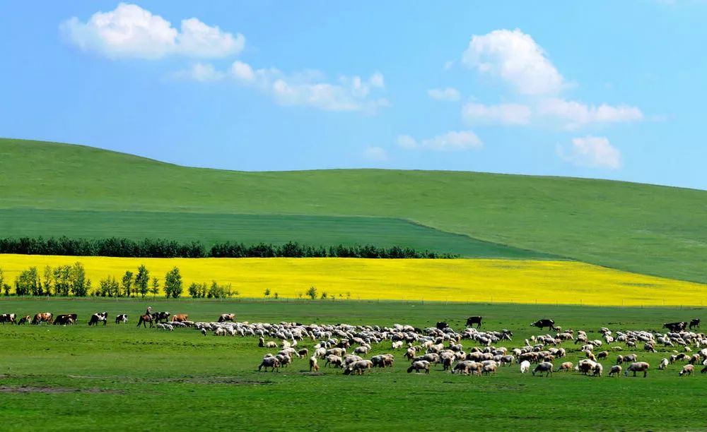 内蒙古，心驰神往的草原天堂之旅 🌿🐎