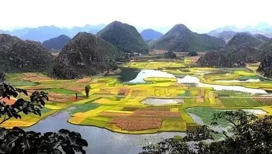 外交部发言人就云南相关评论文章发表表态